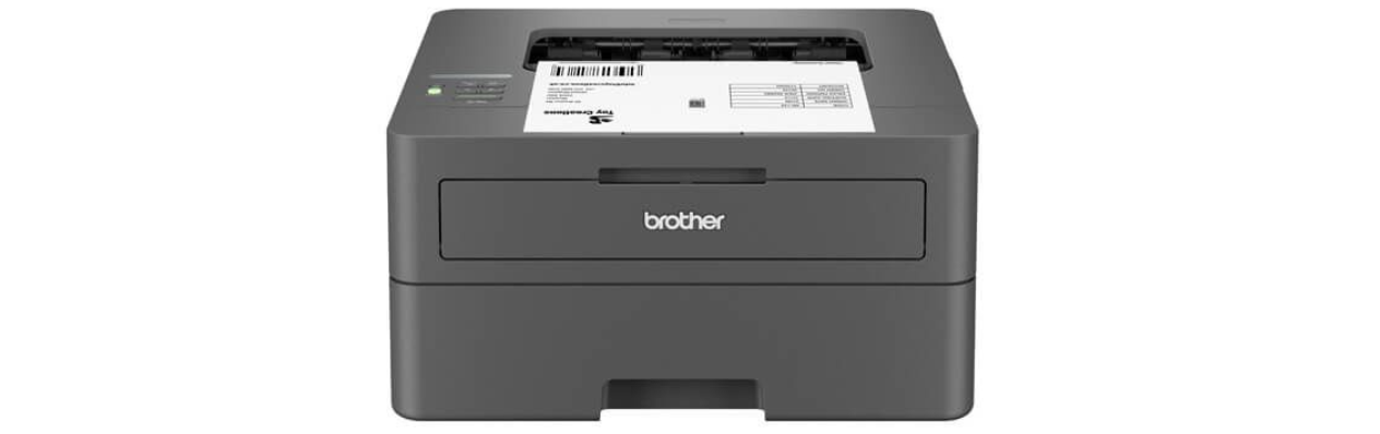 Brother HL-L2405W
