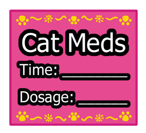 Pink Square Cat Meds Sticker Label with Yellow Border