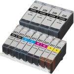 Canon 220 Ink and Canon 221 Cartridges 12-Pack: 4 PGI-220 Pigment Black and 2 CLI-221 Black, 2 Cyan, 2 Magenta, 2 Yellow