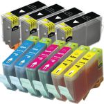 Canon BCI-6 Ink Cartridges &amp; BCI3eBK 10-Pack