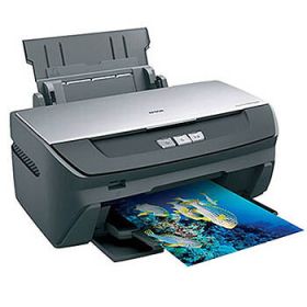 Epson Stylus Photo R270 ink