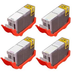GINK-CN-BCI-1001