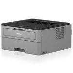 Brother HL-L2465DW