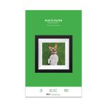 Premium Glossy Inkjet Photo Paper (11" x 17") 20 sheets - Resin Coated