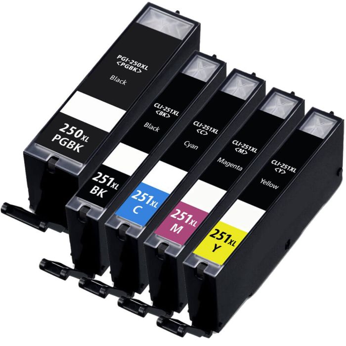 High Yield Canon 250 251 Ink 5-Pack XL Cartridges: 1 Pigment Black, 1 Black, 1 Cyan, 1 Magenta, 1 Yellow