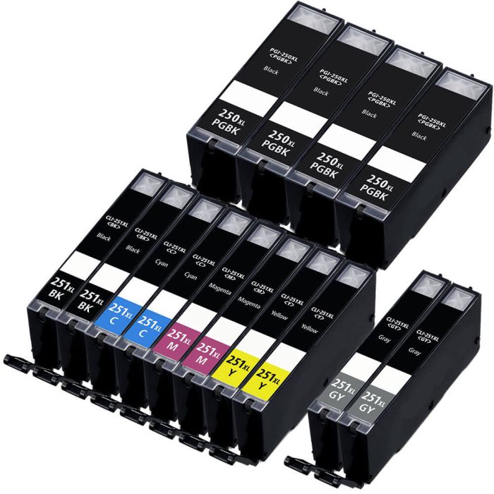 High Yield Canon 251 Ink Cartridges and Canon 250 Black Ink XL 14-Pack: 4 PGI-250XL Black and 2 CLI-251XL Black, 2 Cyan, 2 Magenta, 2 Yellow, 2 Gray