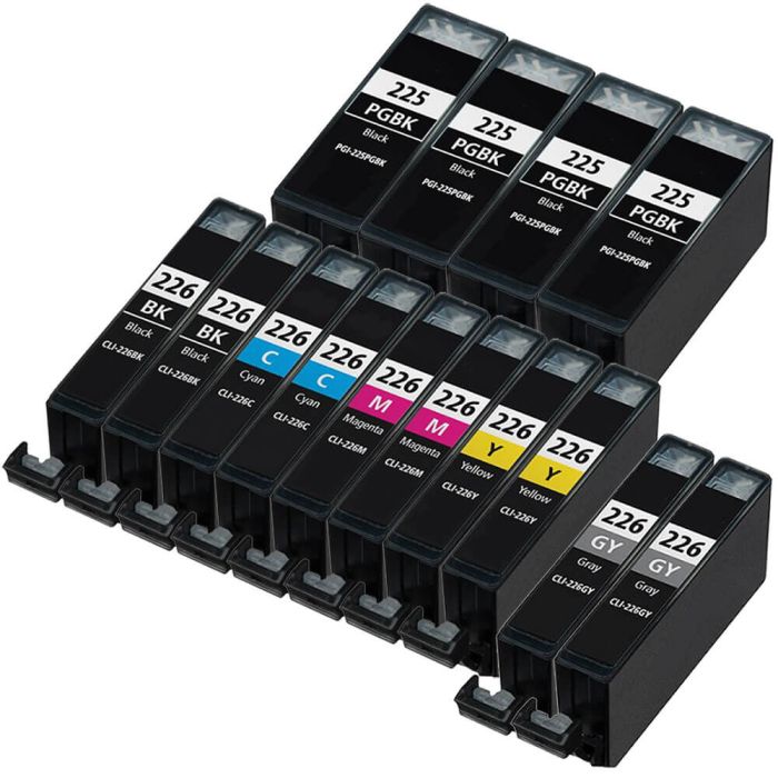 Canon PGI-225 CLI-226 Ink Cartridges 14-Pack: 4 PGI-225 Pigment Black and 2 CLI-226 Black, 2 Cyan, 2 Magenta, 2 Yellow, 2 Gray