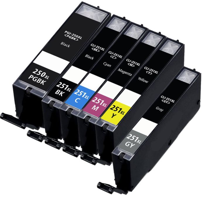 High Yield Canon Printer Ink 250 and 251 XL Cartridges 6-Pack: 1 PGI-250XL Black and 1 CLI-251XL Black, 1 Cyan, 1 Magenta, 1 Yellow and 1 Gray