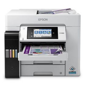Epson WorkForce Pro ST-C5500 Ink Bottles' Printer