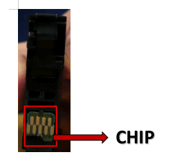 chip